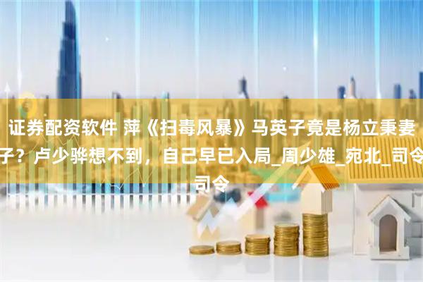 证券配资软件 萍《扫毒风暴》马英子竟是杨立秉妻子？卢少骅想不到，自己早已入局_周少雄_宛北_司令