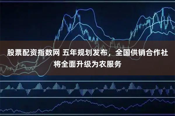 股票配资指数网 五年规划发布，全国供销合作社将全面升级为农服务